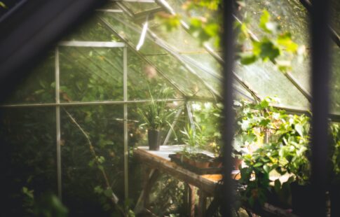 what is the greenhouse effect
