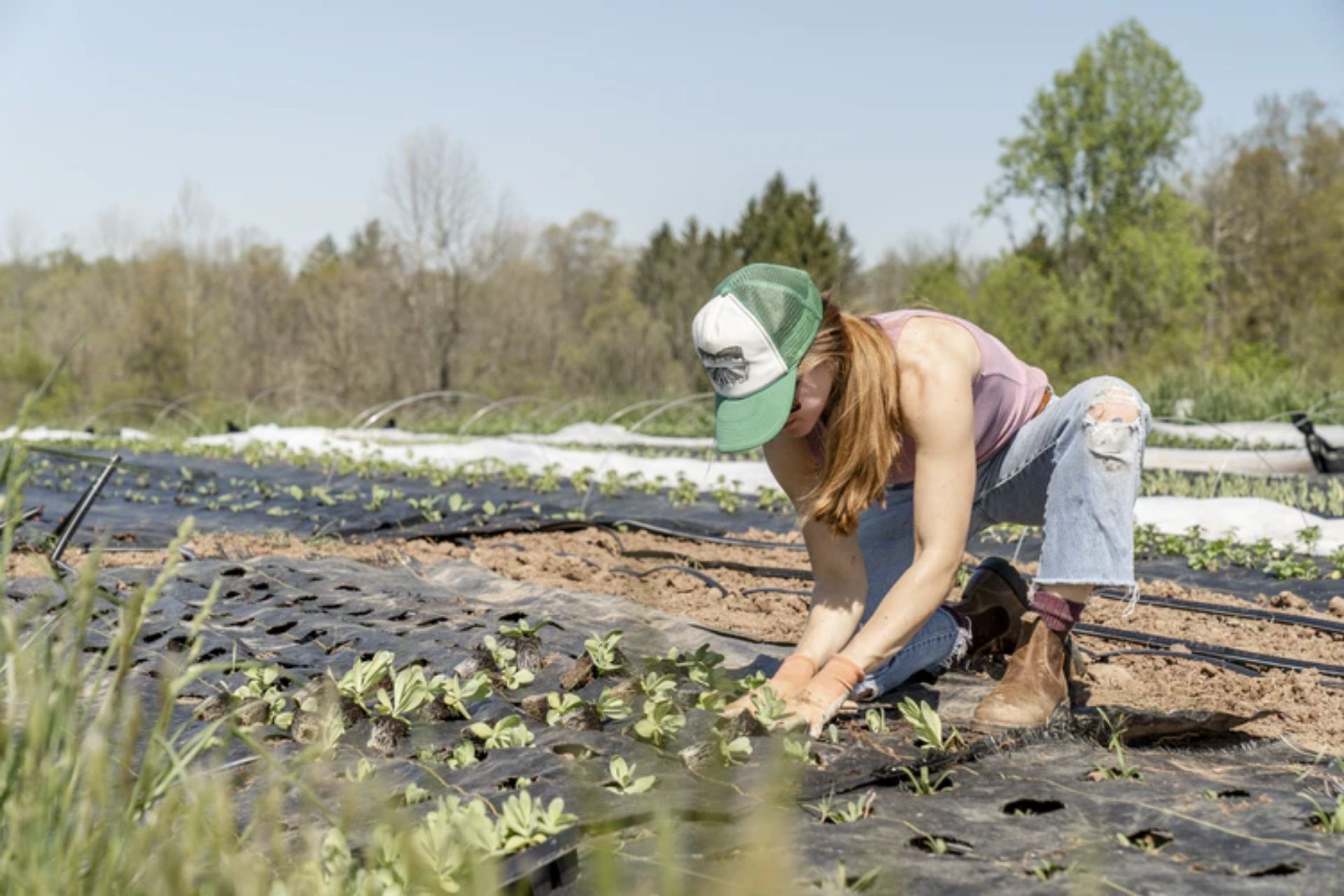5 women in agribusiness 5 women in agribusiness