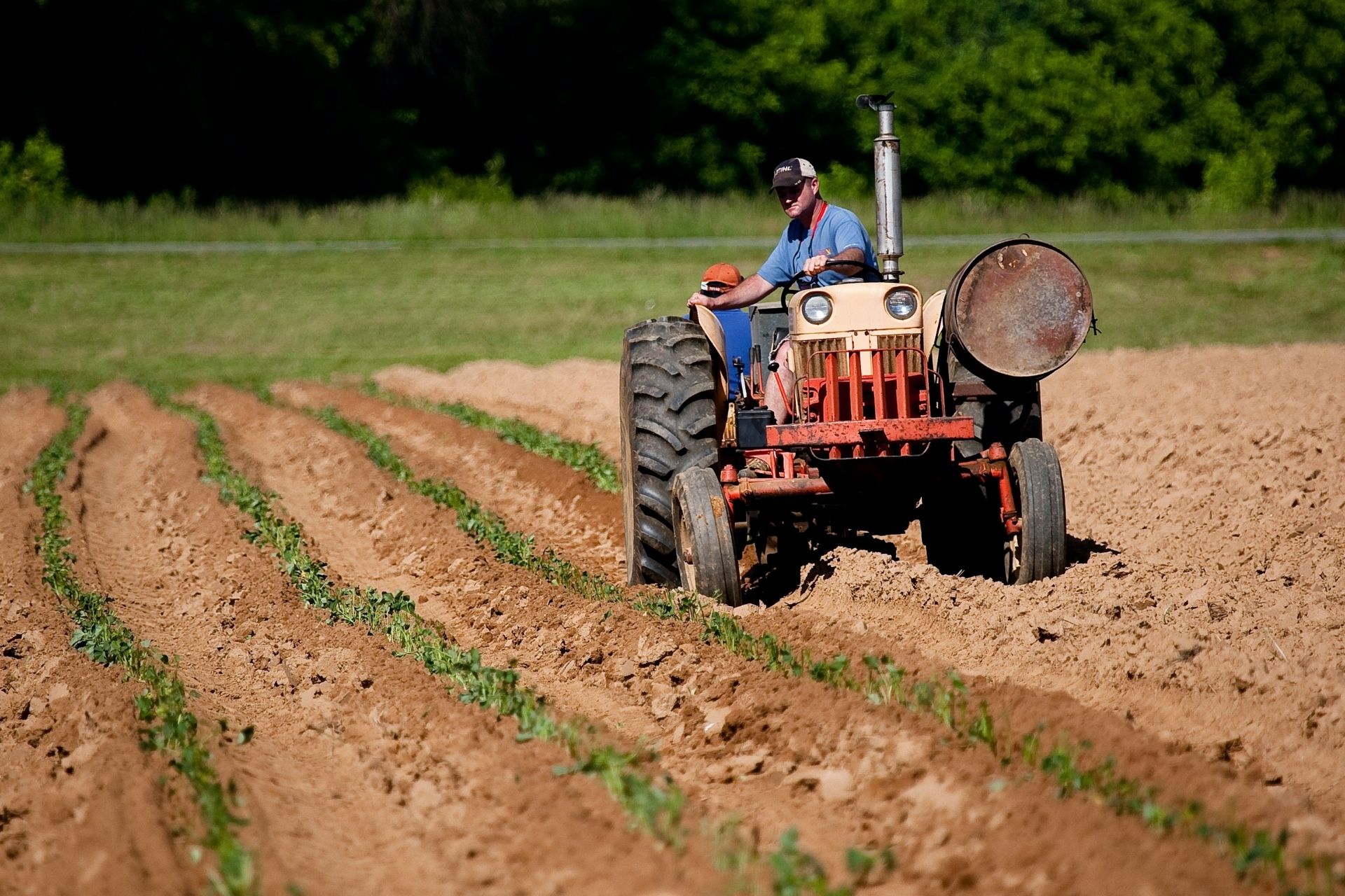 can-agriculture-foster-economic-development-india-foundation