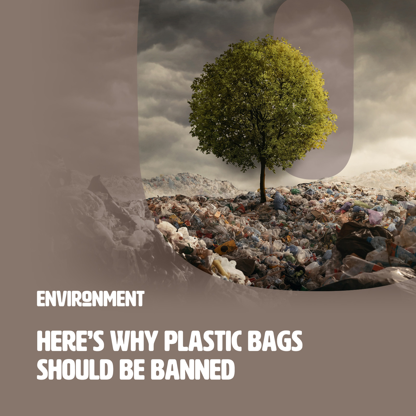 Will Banning Plastic Bags Actually Save the Planet? - Displayr