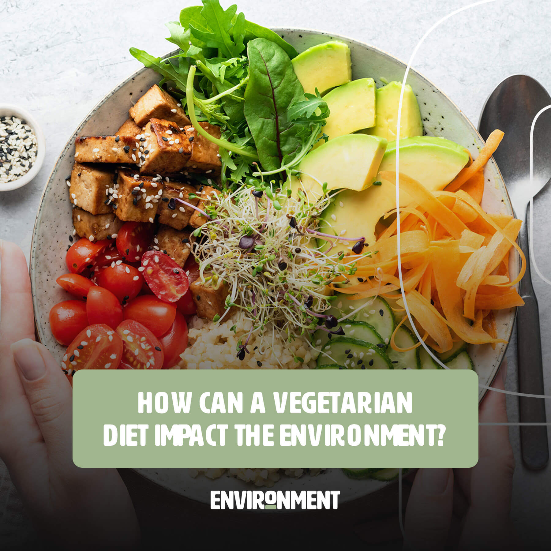 How Can A Vegetarian Diet Impact The Environment Environment Co