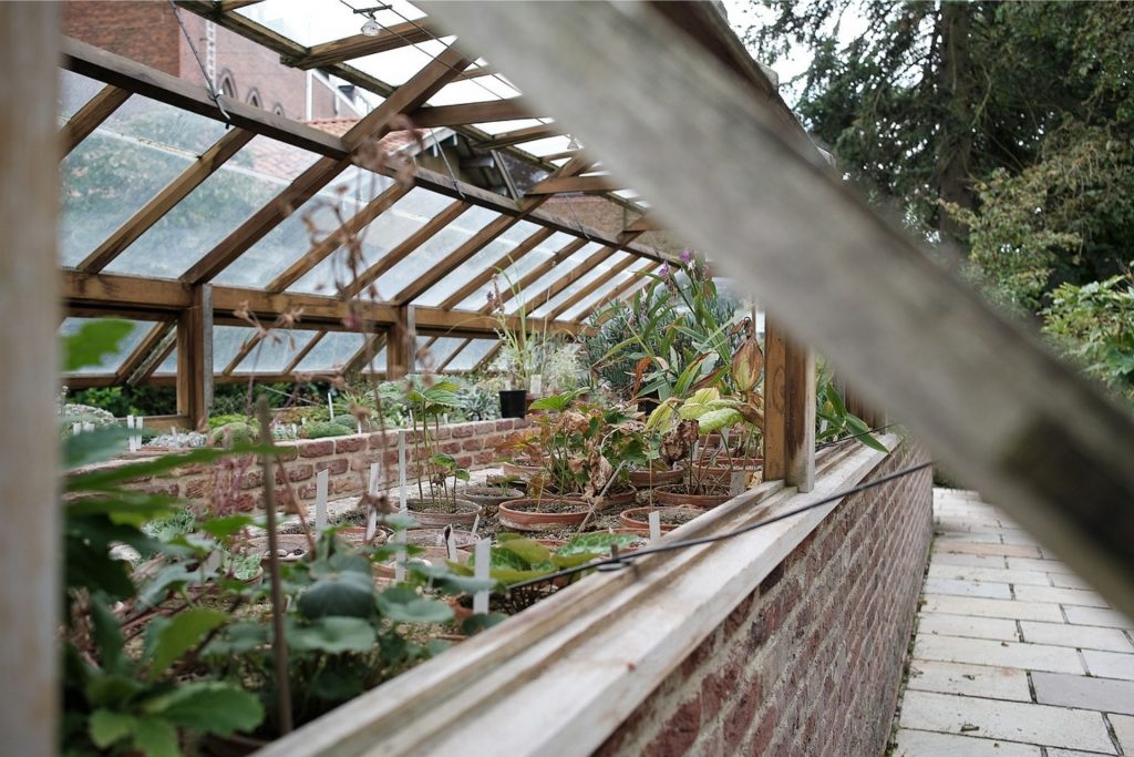 Are Greenhouses Bad for the Environment? Environment Co