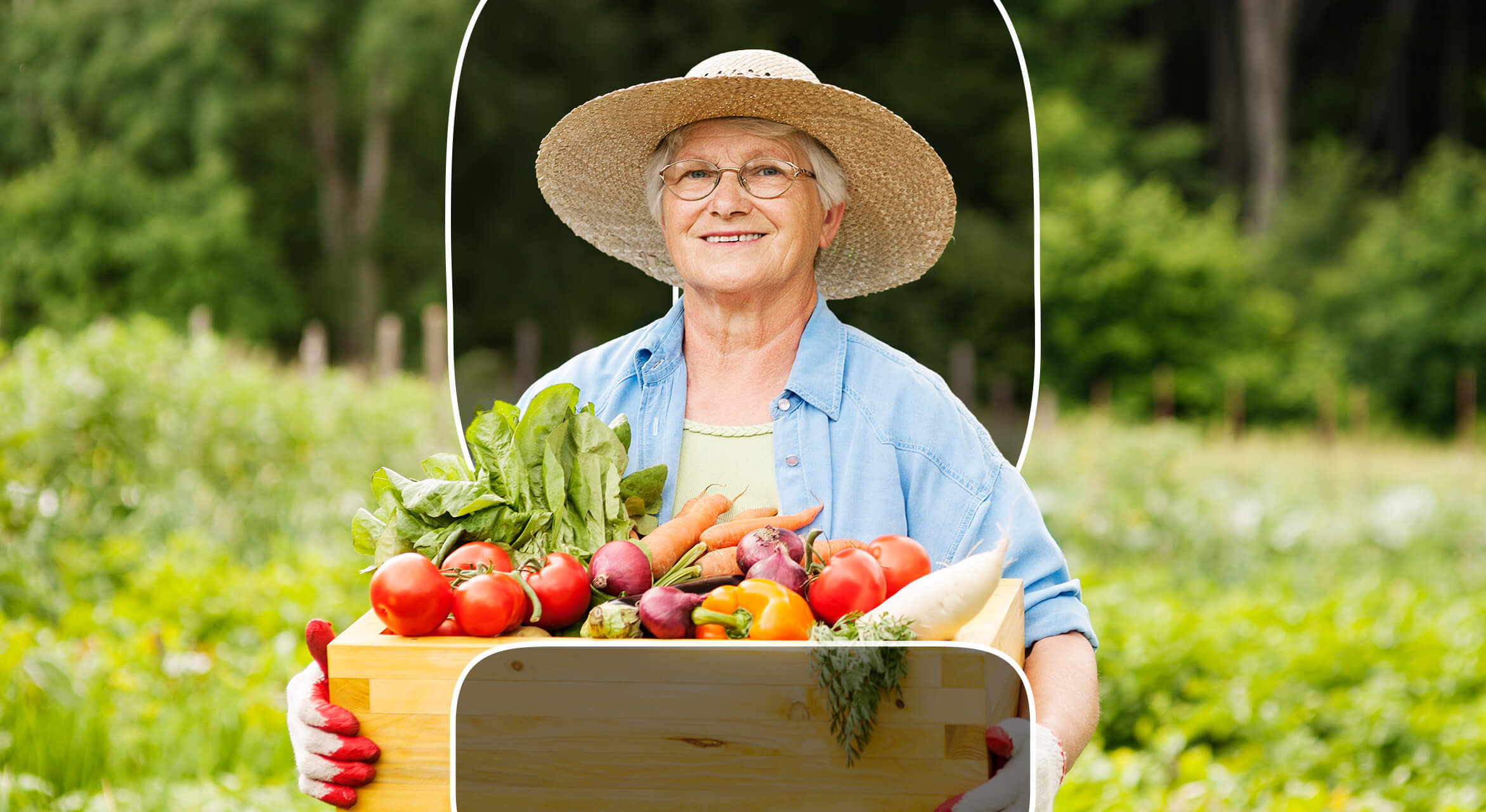 woman in agribusiness holding a basket with vegetables