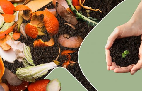 Is Composting Worth It