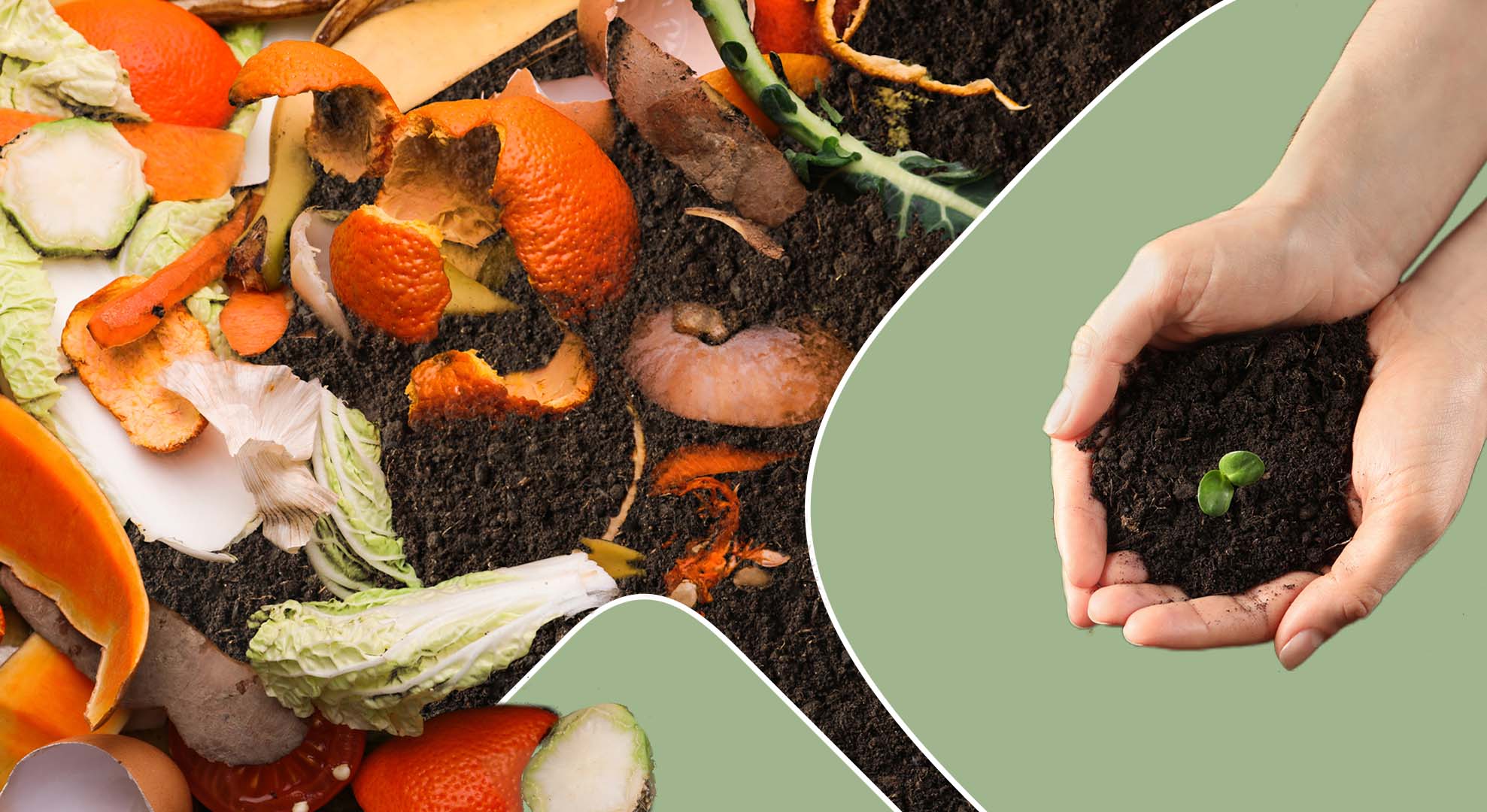 Is Composting Worth It
