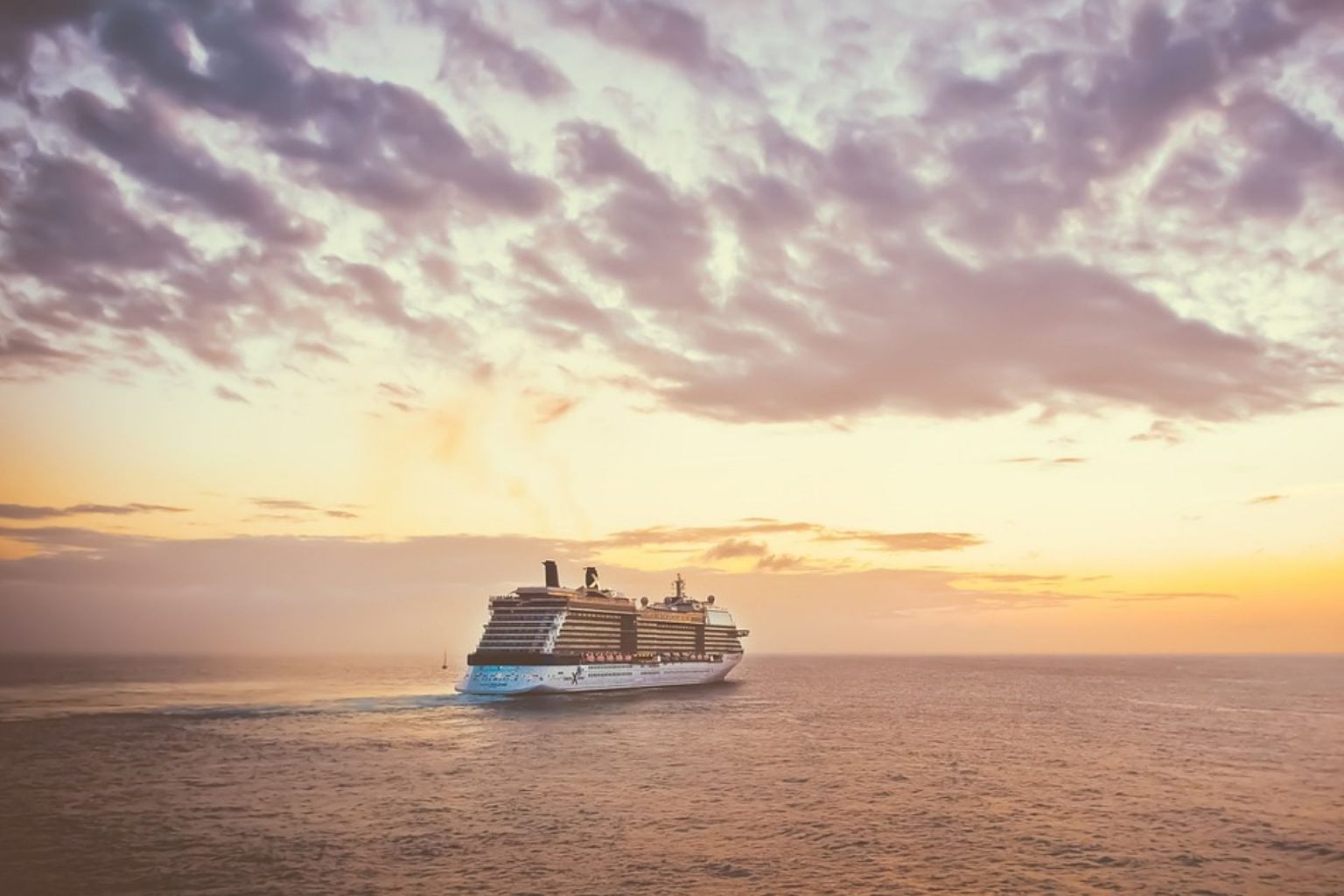 The Effects Of Cruise Ship Waste Environment Co