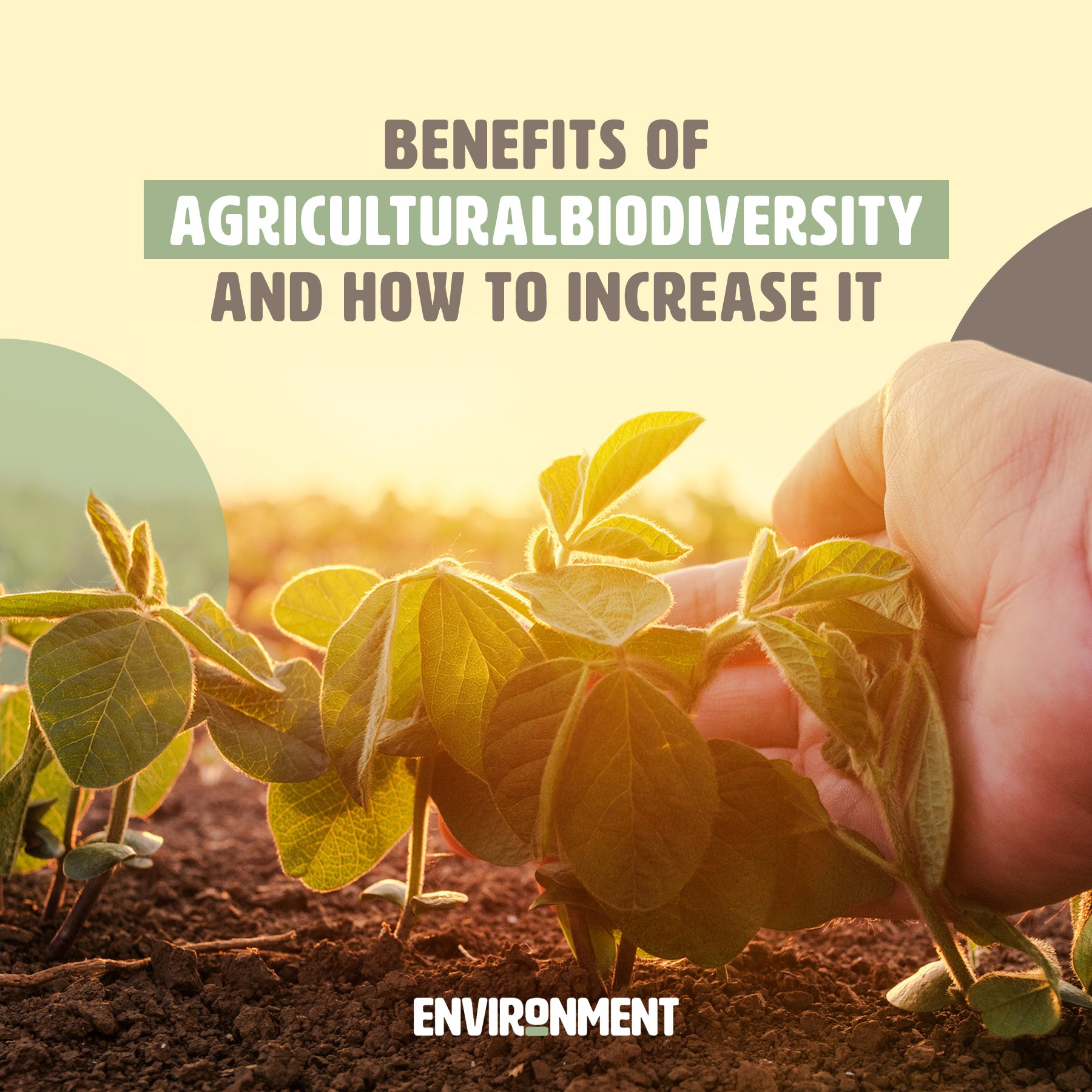 importance of biodiversity in agriculture essay