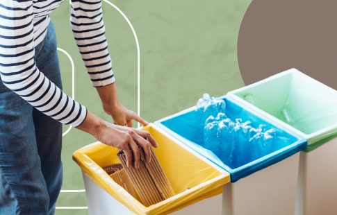 disposing of trash in appropriate trash bins