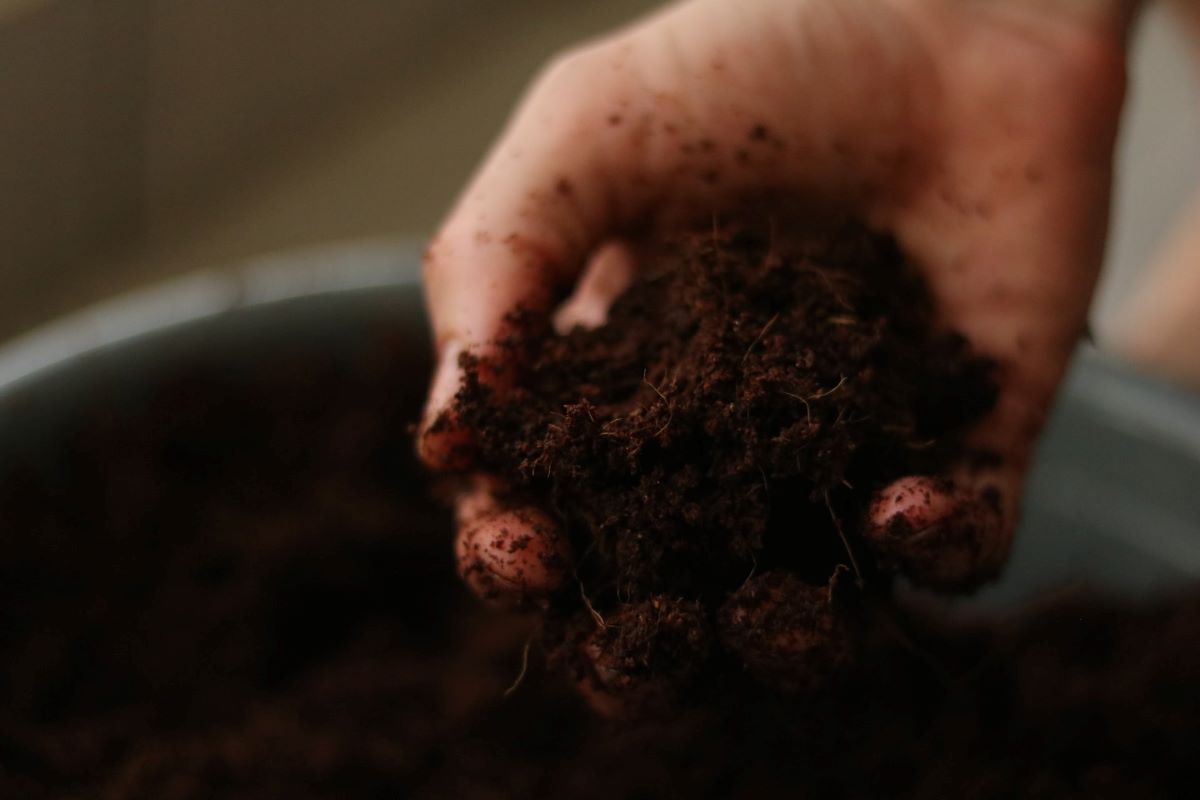 hand in soil from composting burial