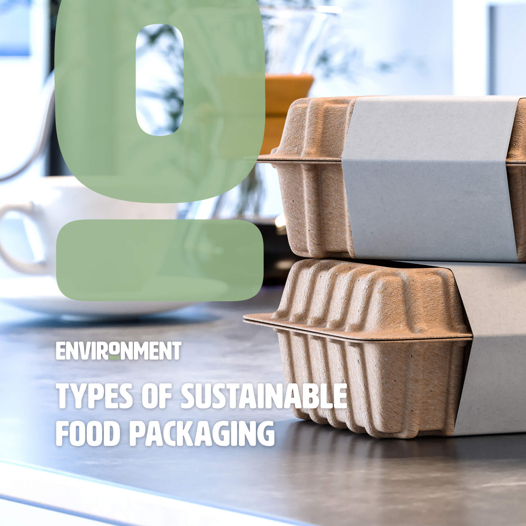 Types Of Sustainable Food Packaging - Environment Co