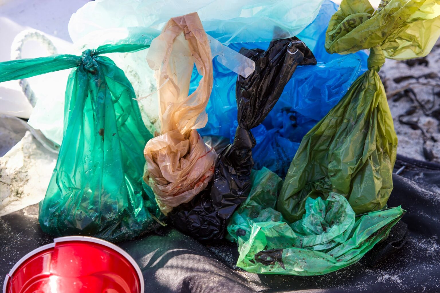 why-plastic-bags-should-be-banned-5-reasons-environment-co