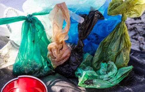 why plastic bags should be banned