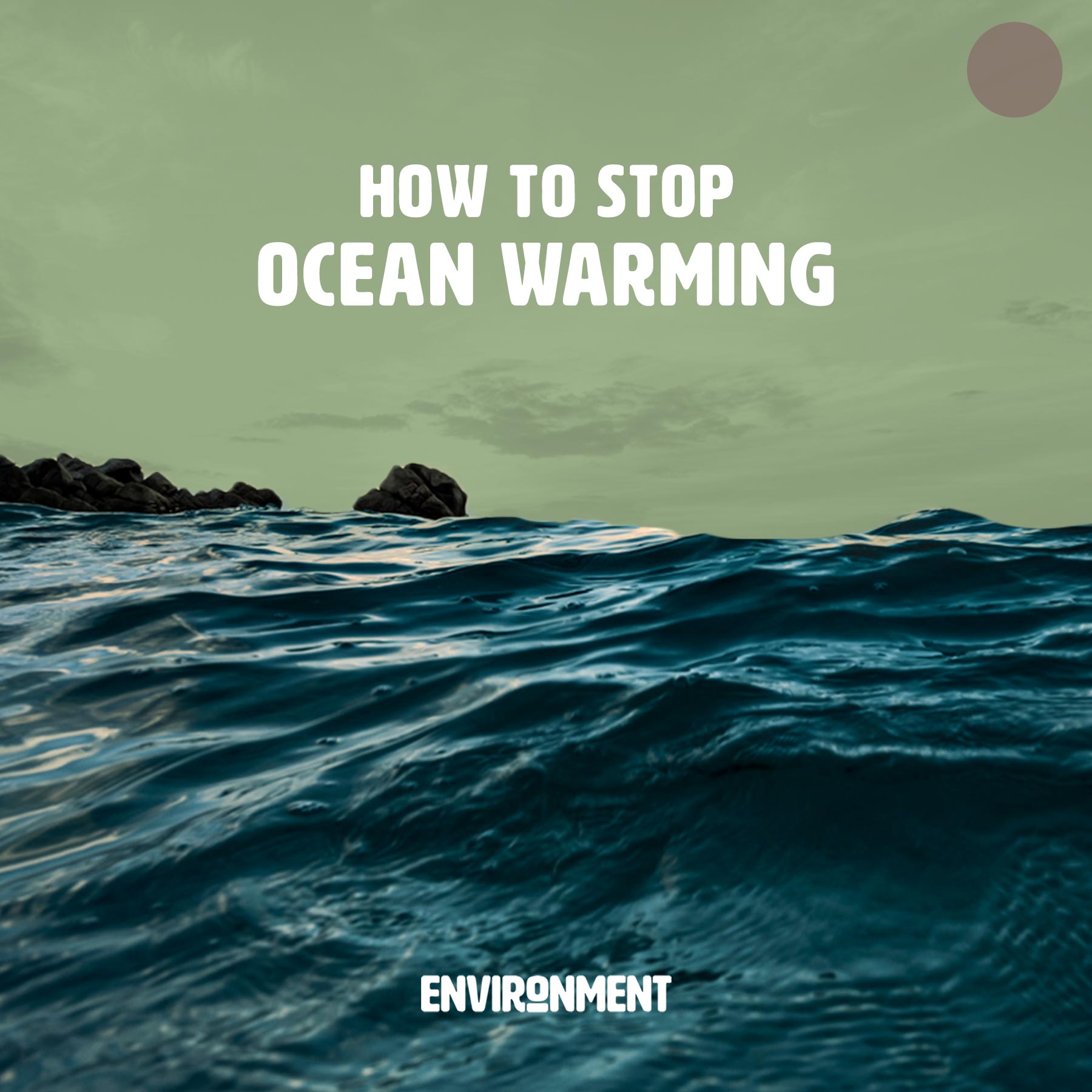 how-to-stop-ocean-warming-environment-co