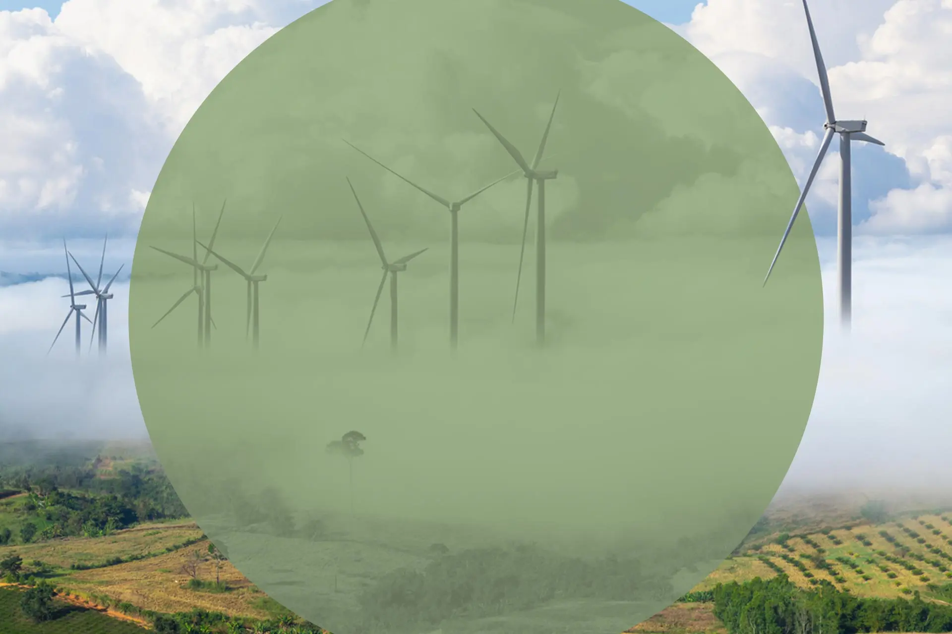 Wind Farms Advantages and Disadvantages - Environment Co