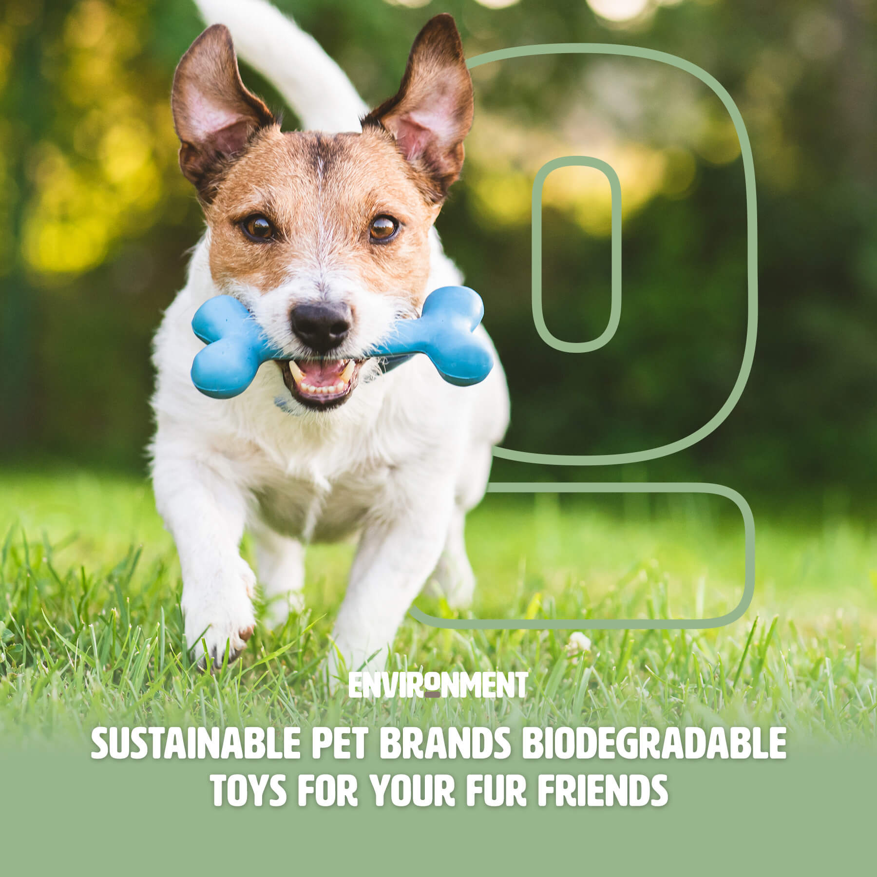 Sustainable Pet Products for Eco-Friendly Pet Care