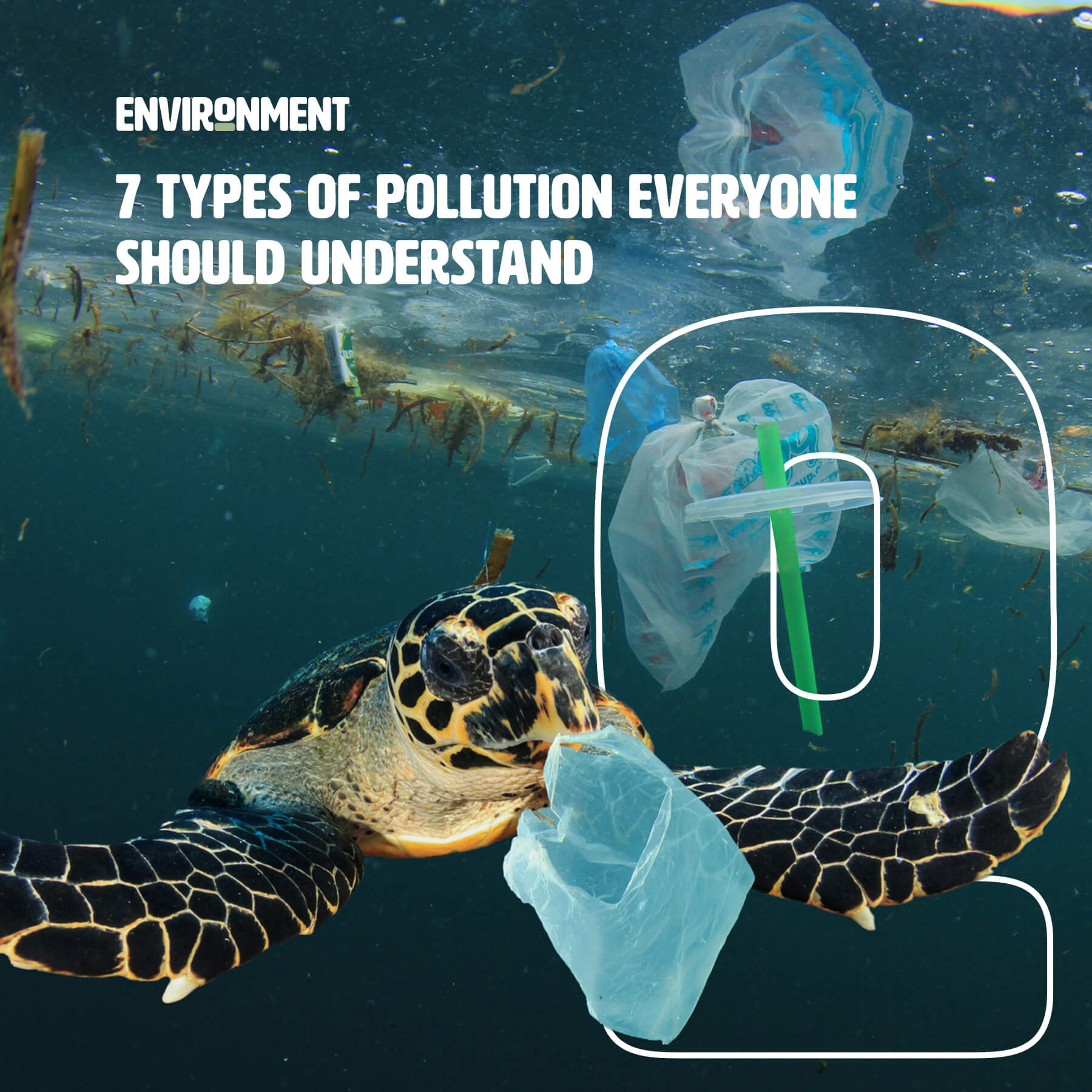 7 Types of Pollution Everyone Should Understand - Environment Co