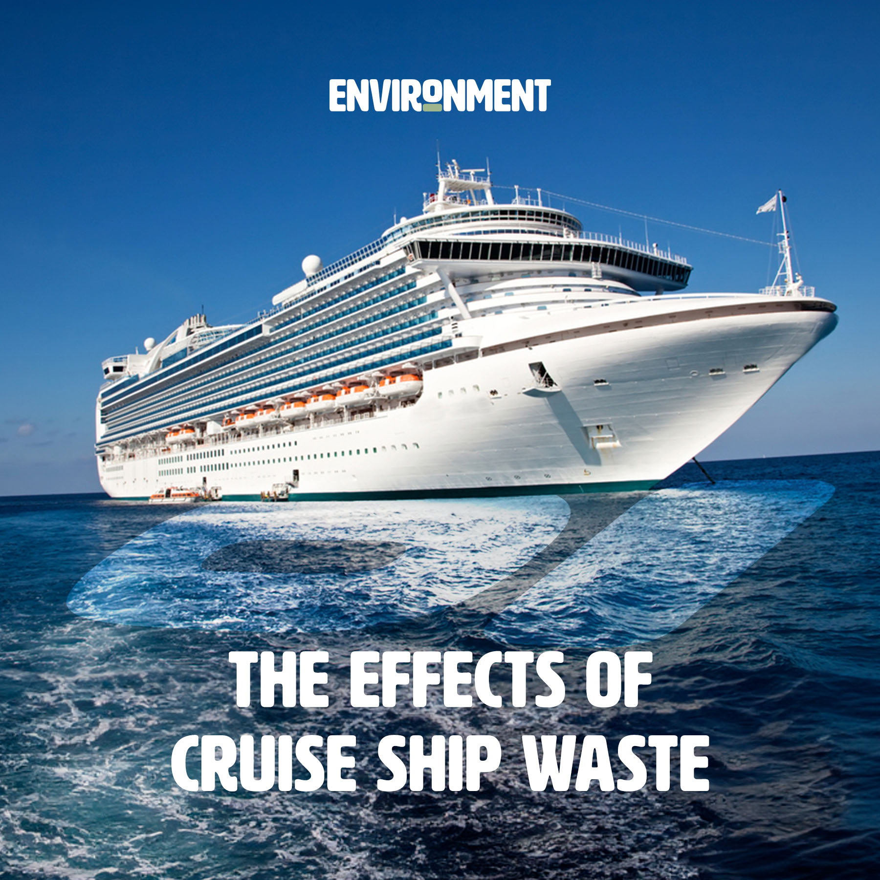 cruise ship pollution is causing serious health and environmental problems