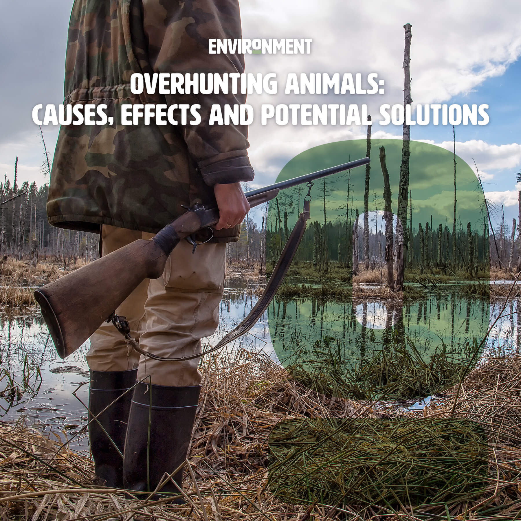 Overhunting Animals Causes, Effects and Potential Solutions