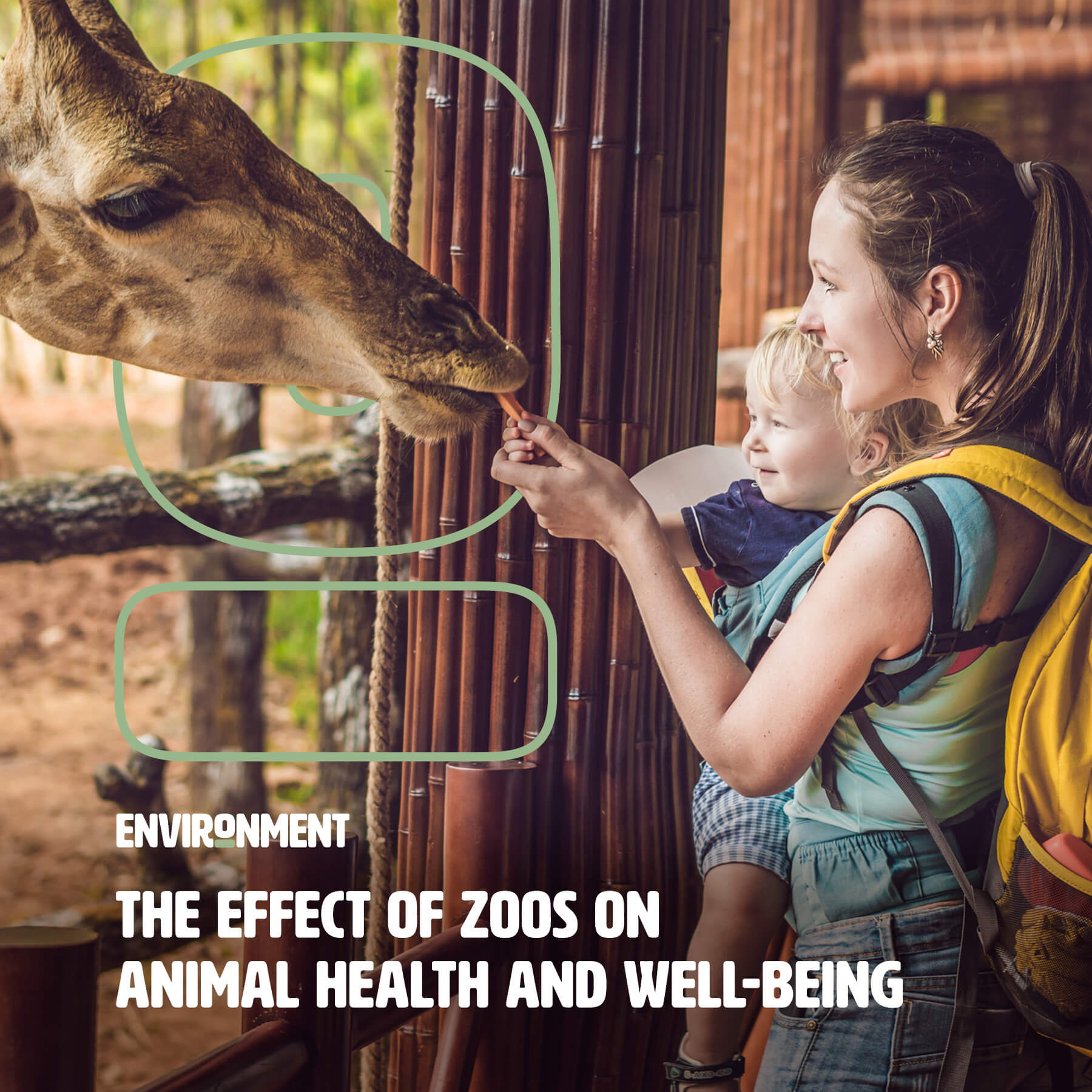 The Effect of Zoos on Animal Health and Well-Being - Environment Co