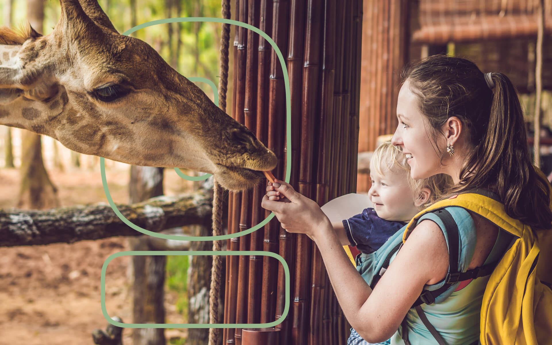 Feature-The-Effect-of-Zoos-on-Animal-Health-and-Well-Being