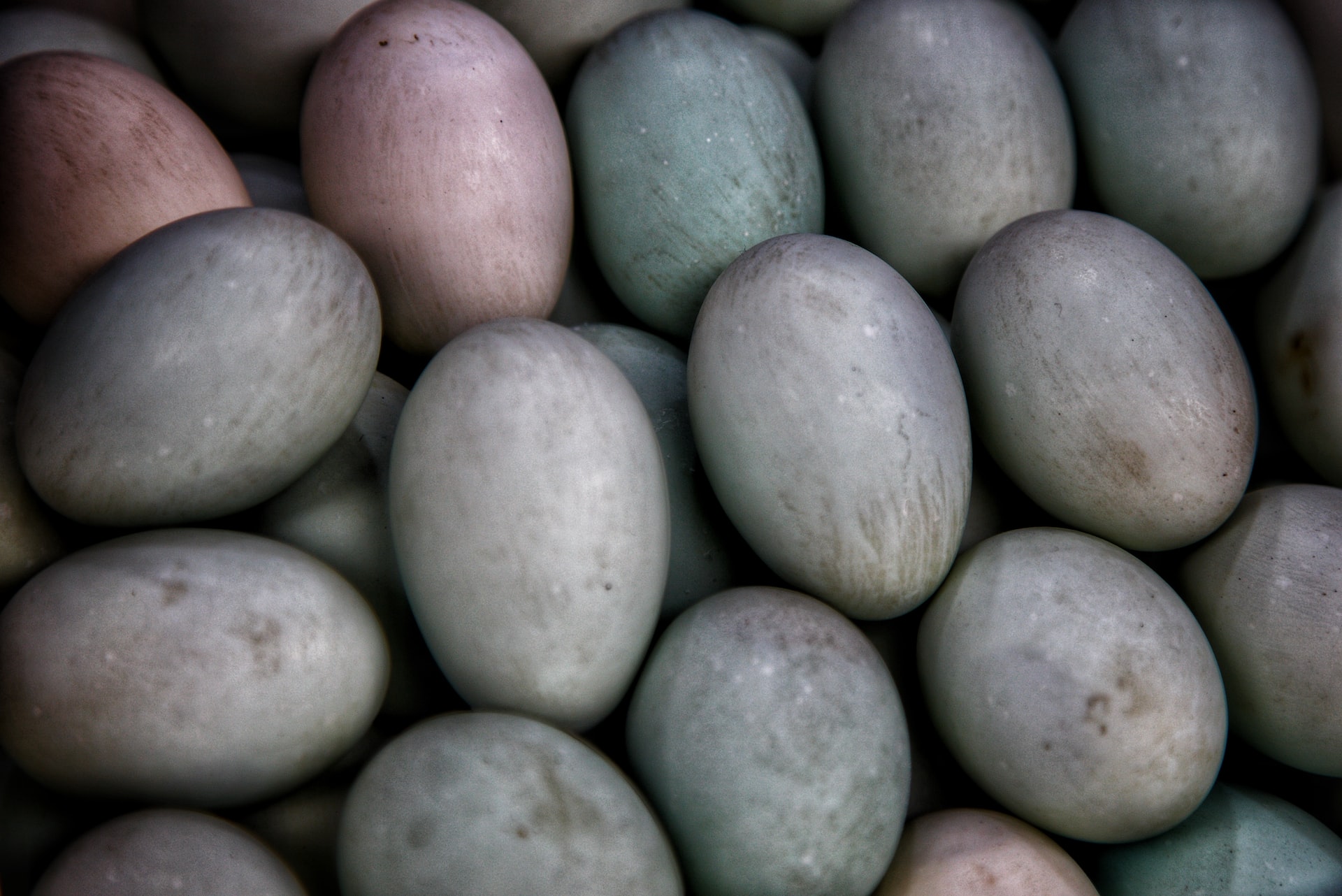How To Cook Duck Eggs 5 Ideas Environment Co