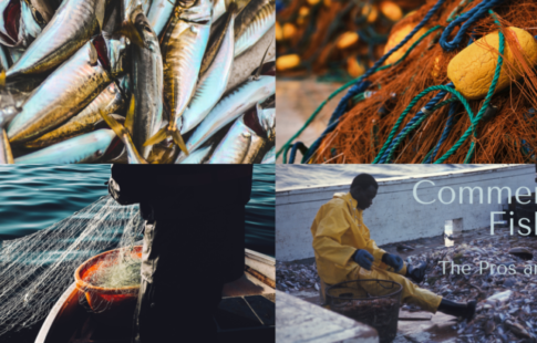 pros and cons of commercial fishing