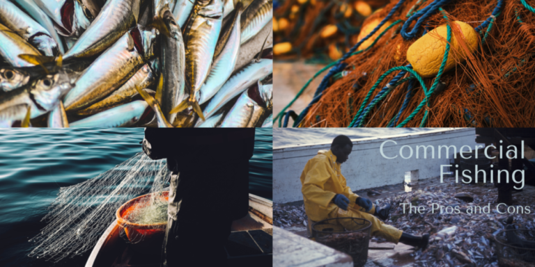 Pros & Cons of Commercial Fishing | Environment Co