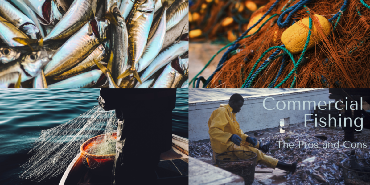 pros and cons of commercial fishing