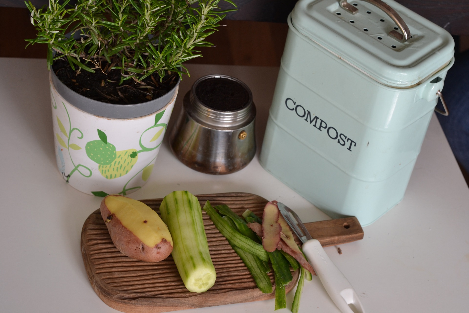 how-to-compost-in-an-apartment