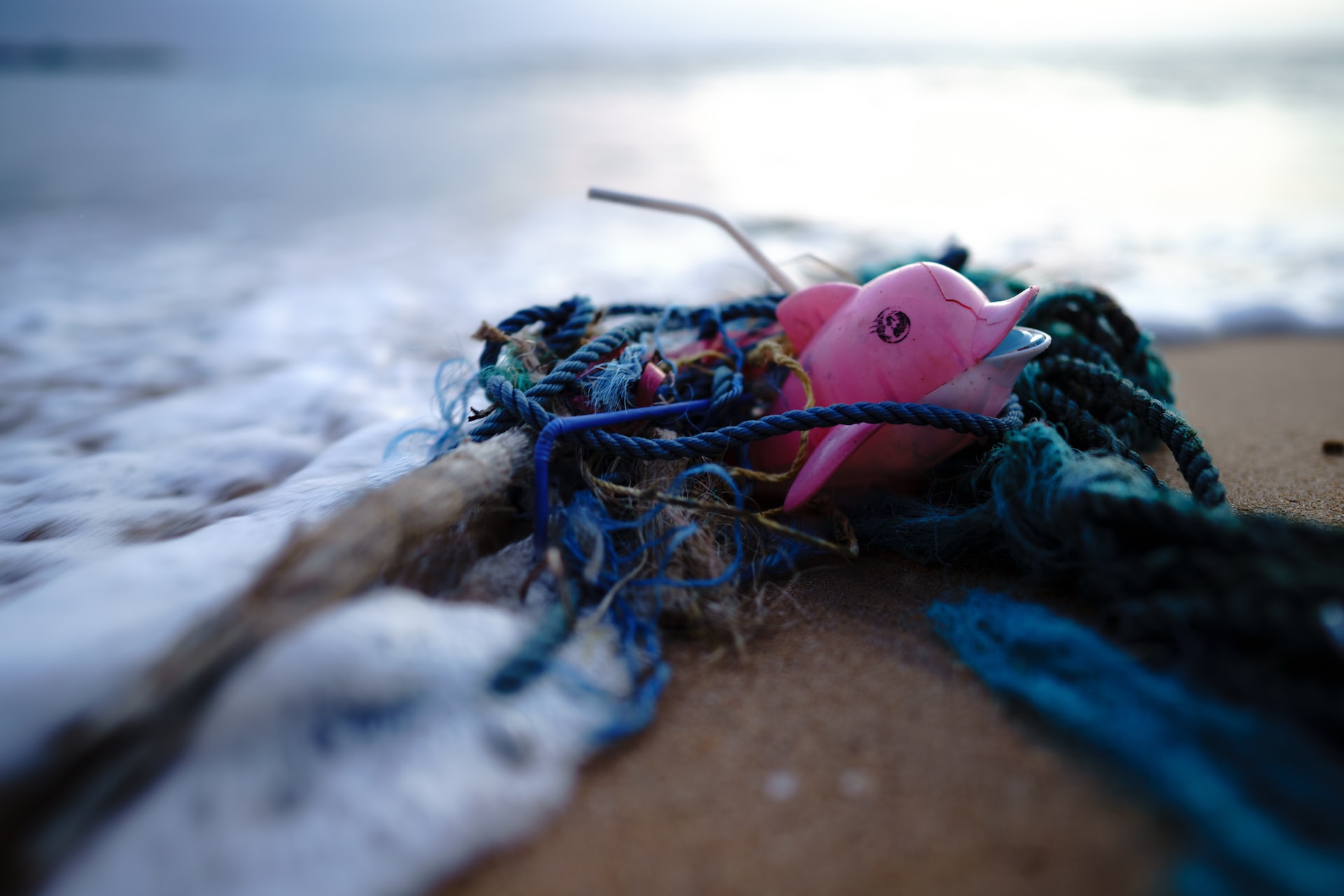 Most Polluting Ocean Plastic Products