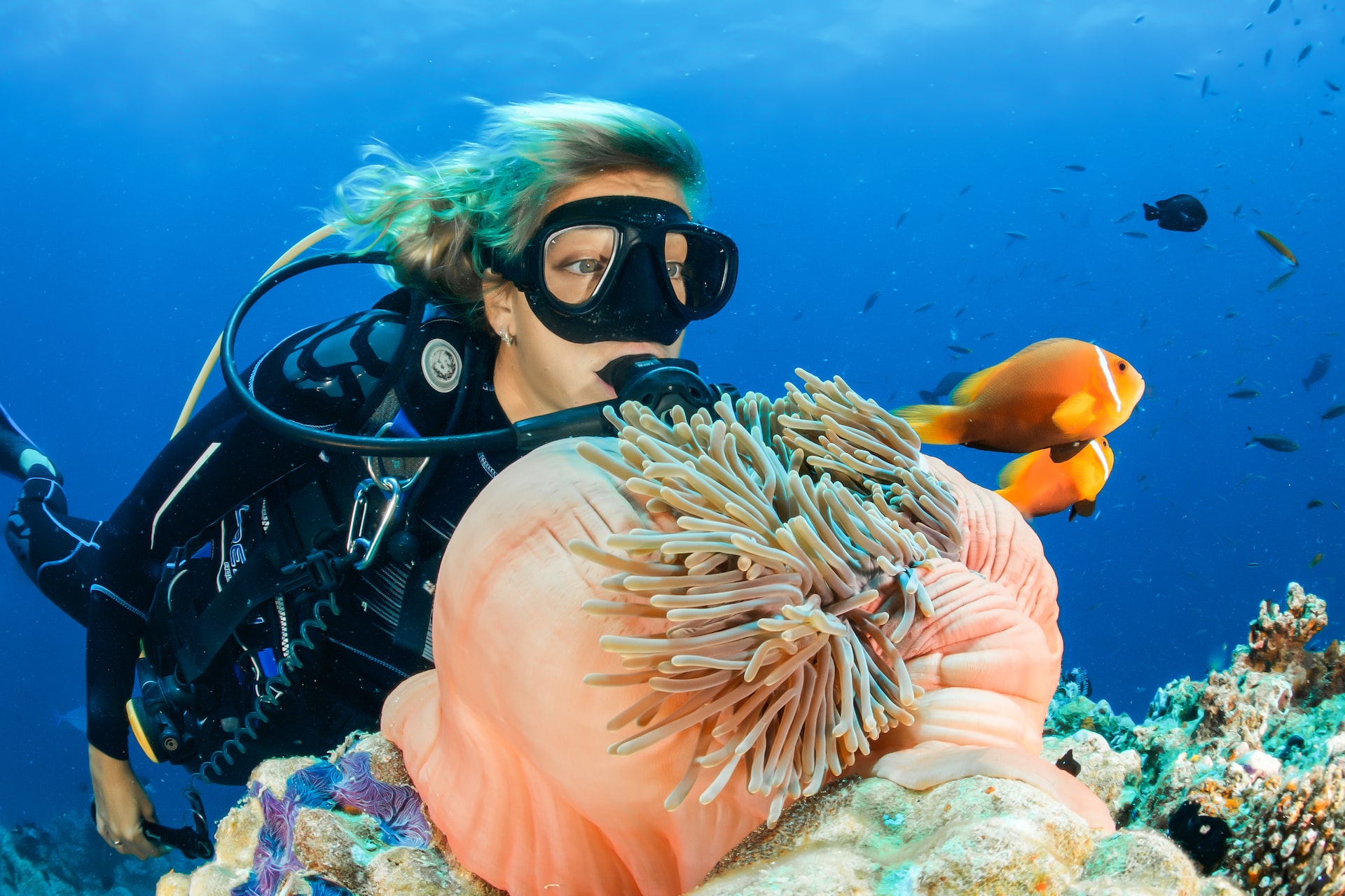 how to protect coral reefs