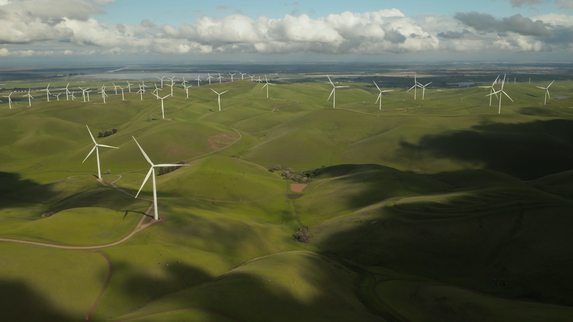 field of wind turbines