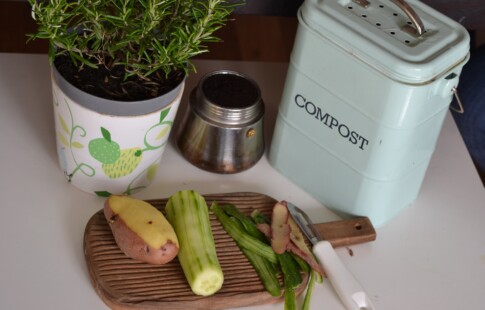 The Best Apartment Compost Bin