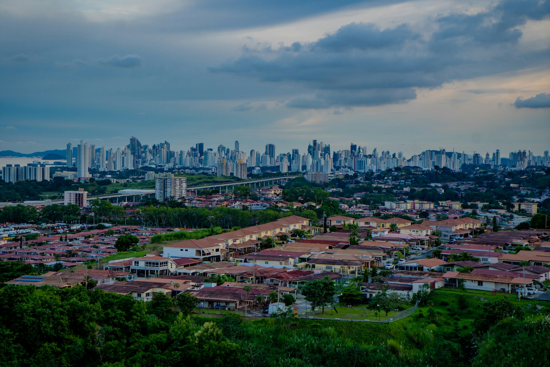 Urbanization with housing and trees