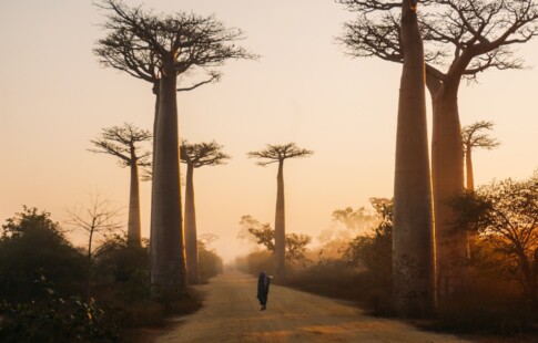 Madagascar drought