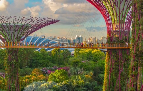 The Gardens By the Bay sustainable architecture.