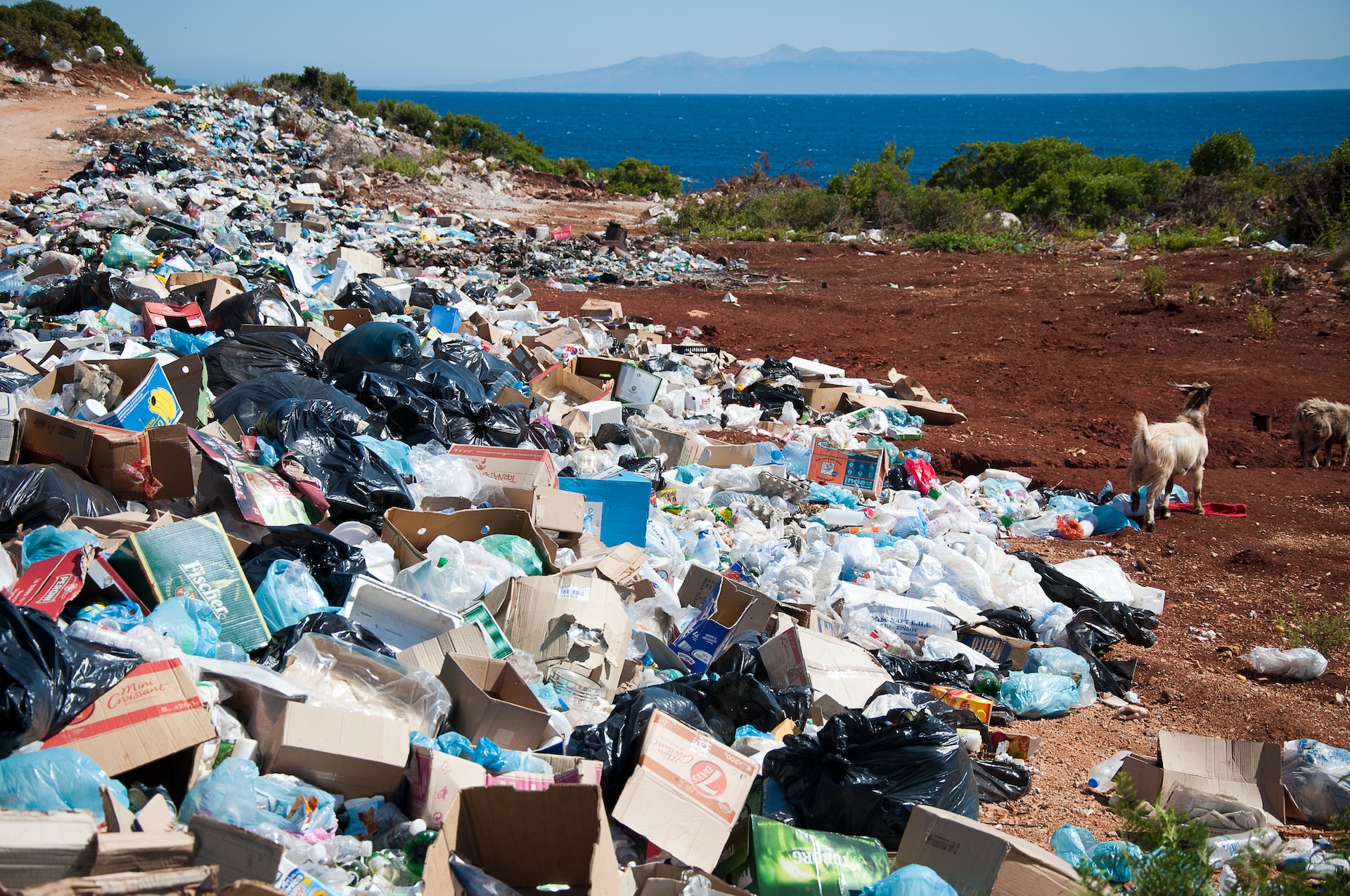 A beach covered in trash from consumerism