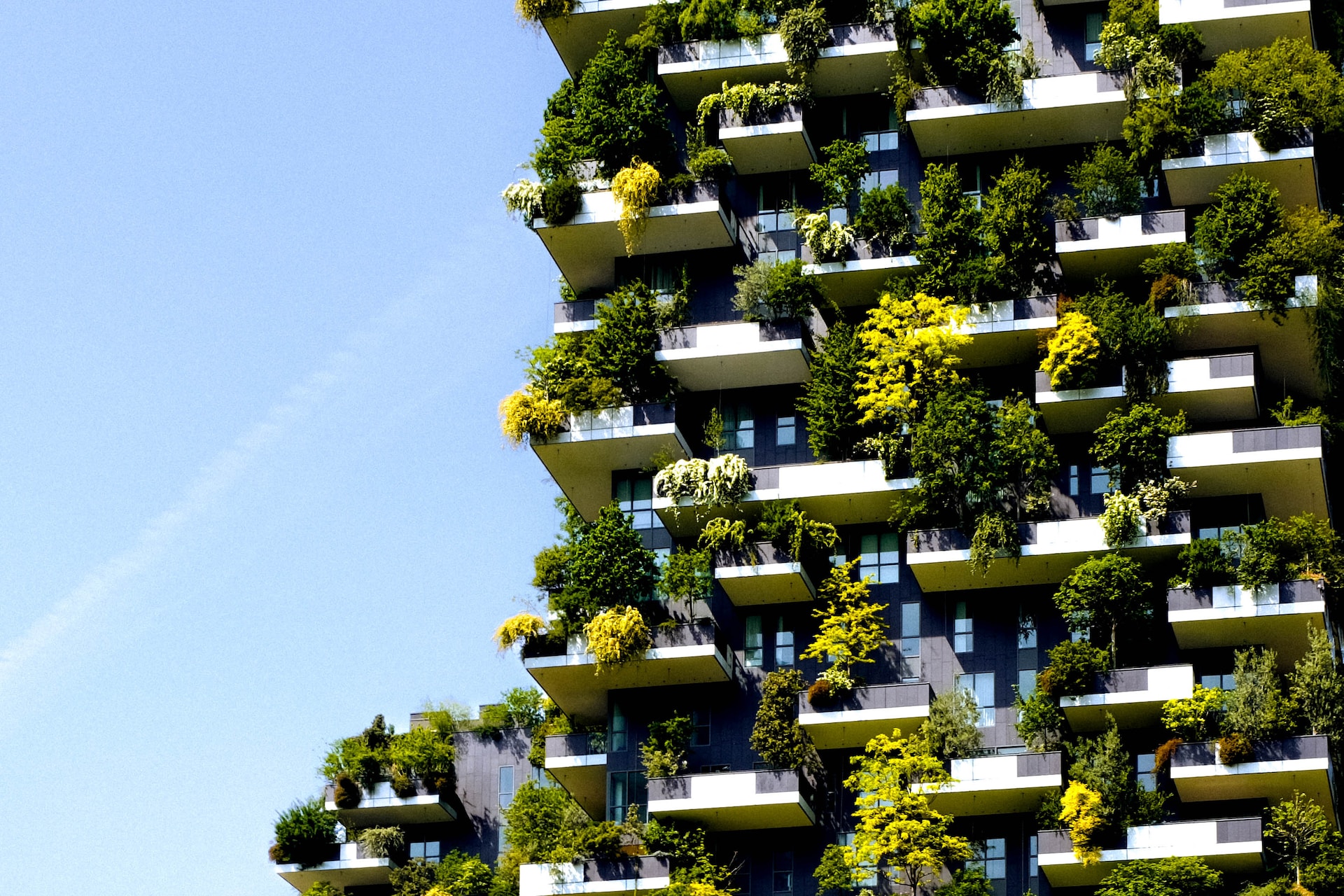 The Trudo Vertical Forest.