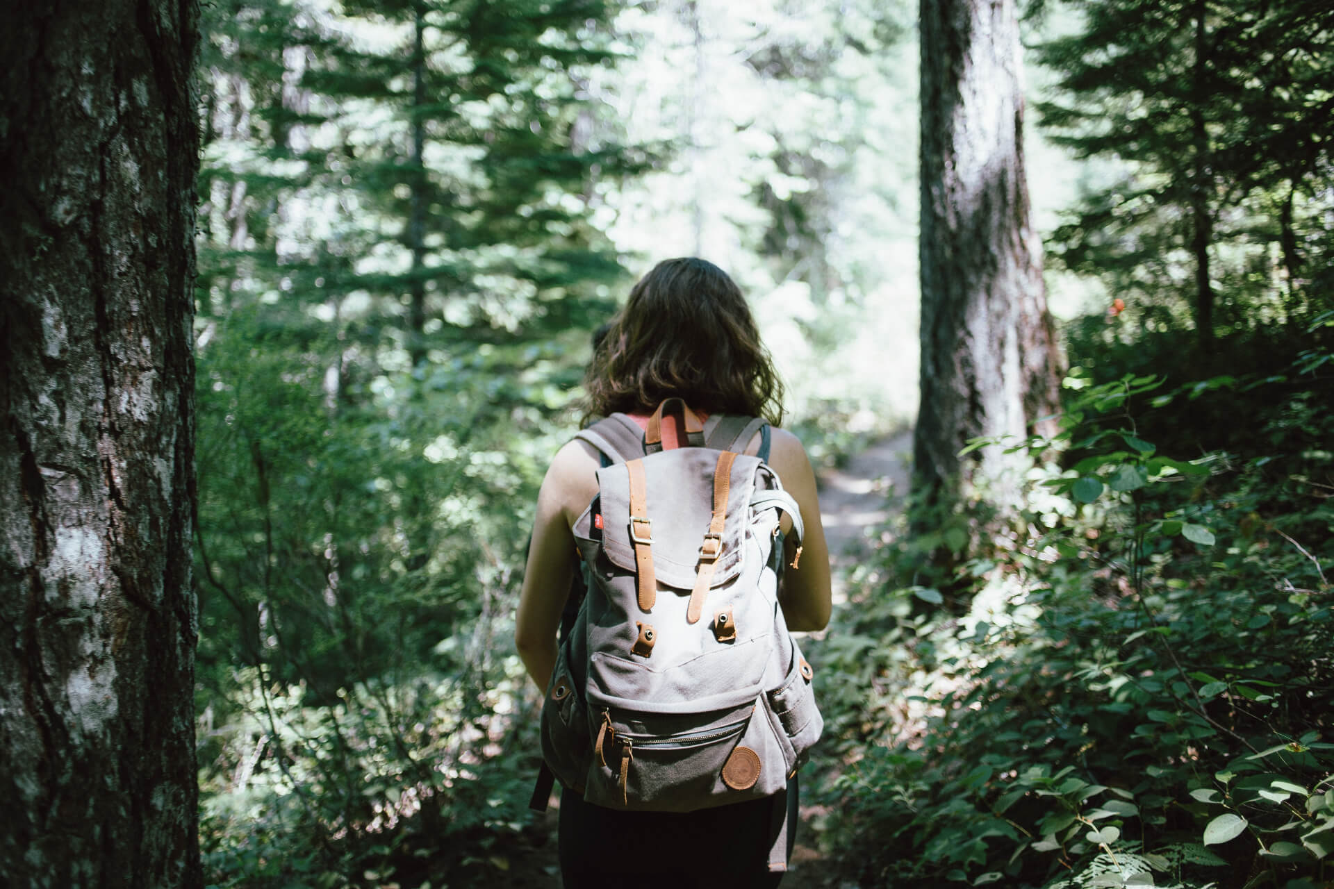 person with backpack in forest