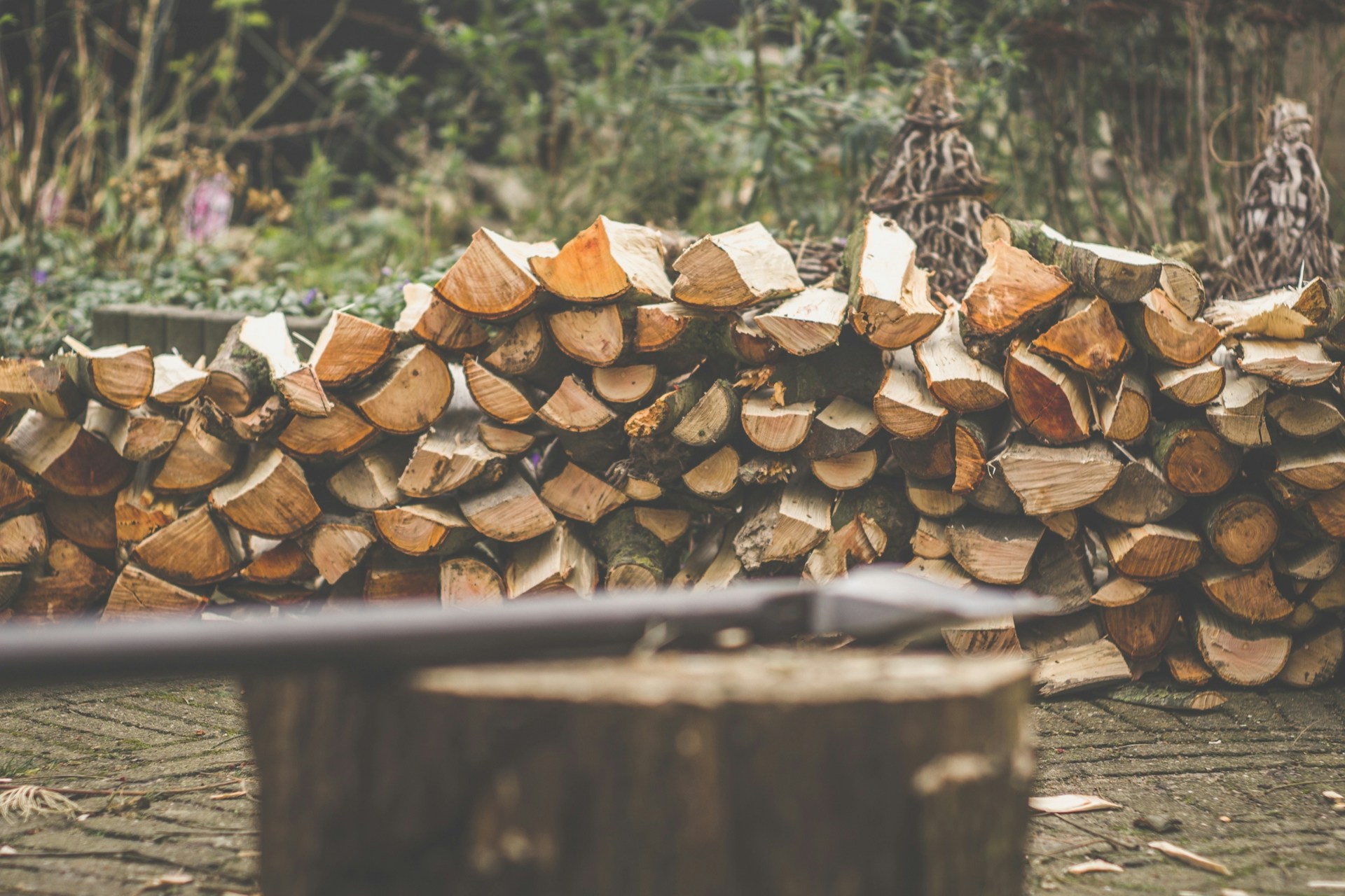 Stacked firewood