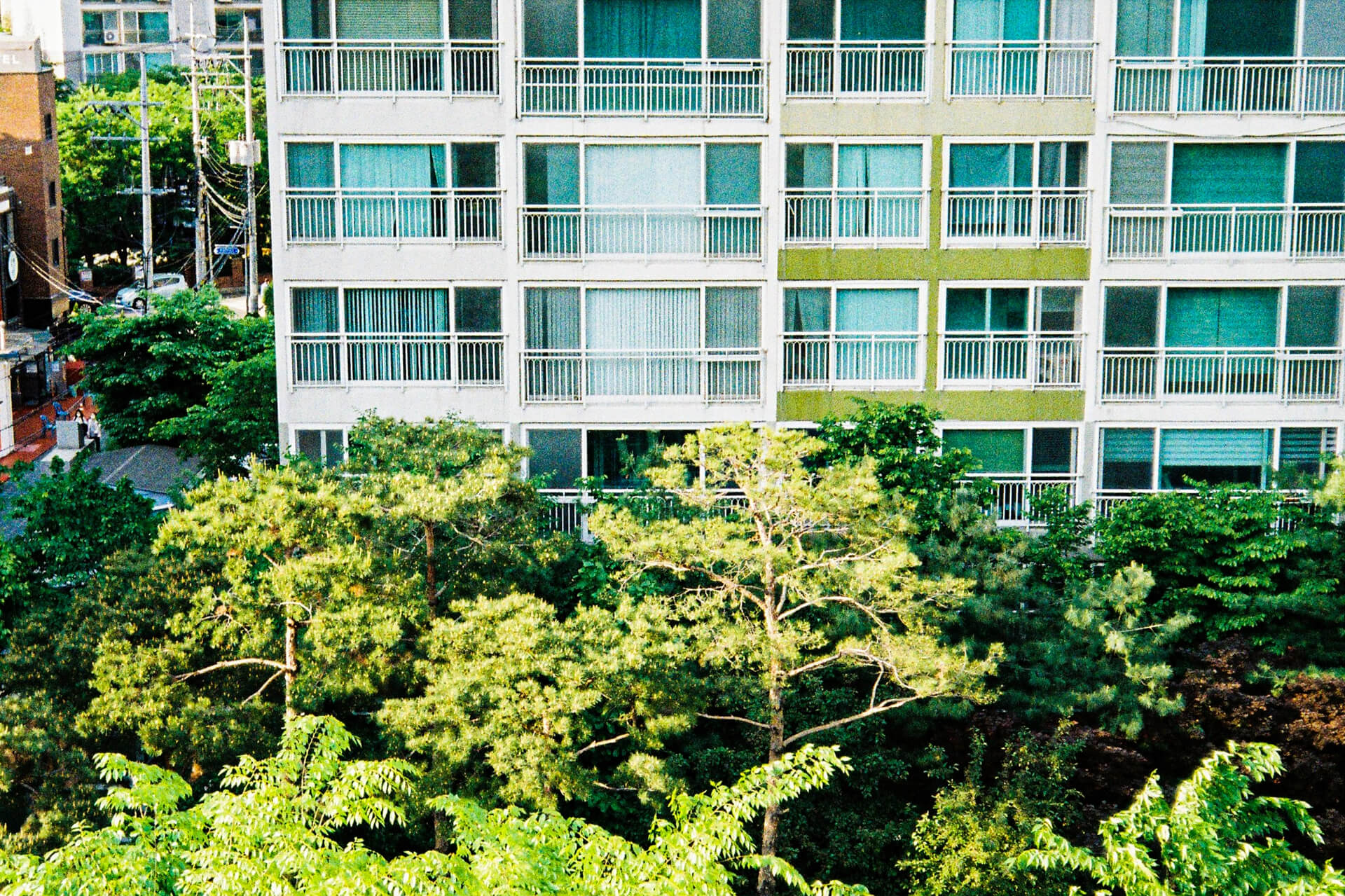apartment building with trees