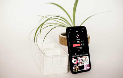 phone with tiktok pulled up with houseplant