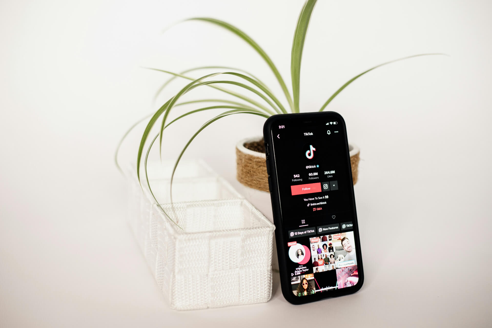 phone with tiktok pulled up with houseplant