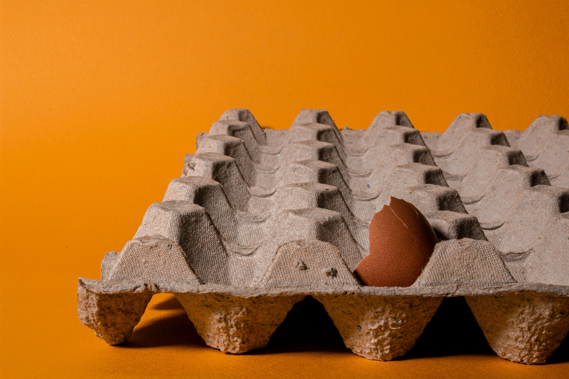 egg carton with cracked eggshell