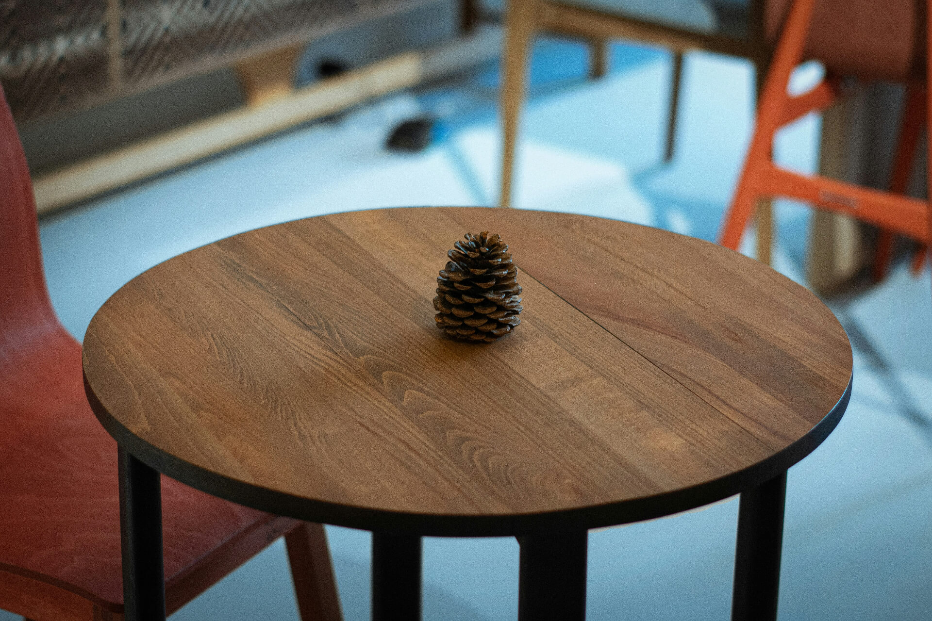 wood table with pine cone