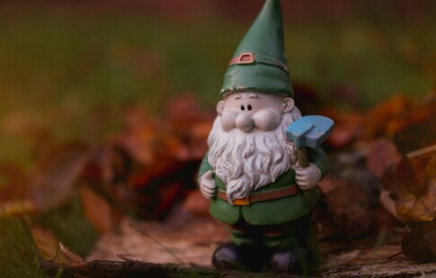 Garden Gnome With Colorful Foliage