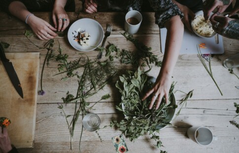 People Making Herbal Remedies