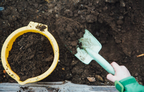 garden shovel in soil