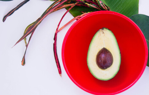 avocado in red dish