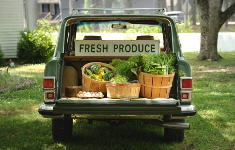 produce on display in truck bed is the result of organic farming around the world